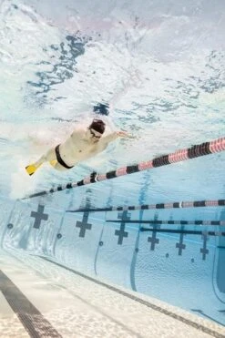 FINIS Z2 Zoomers Fins -TYR Sales Store 2.35.004 image usage 2