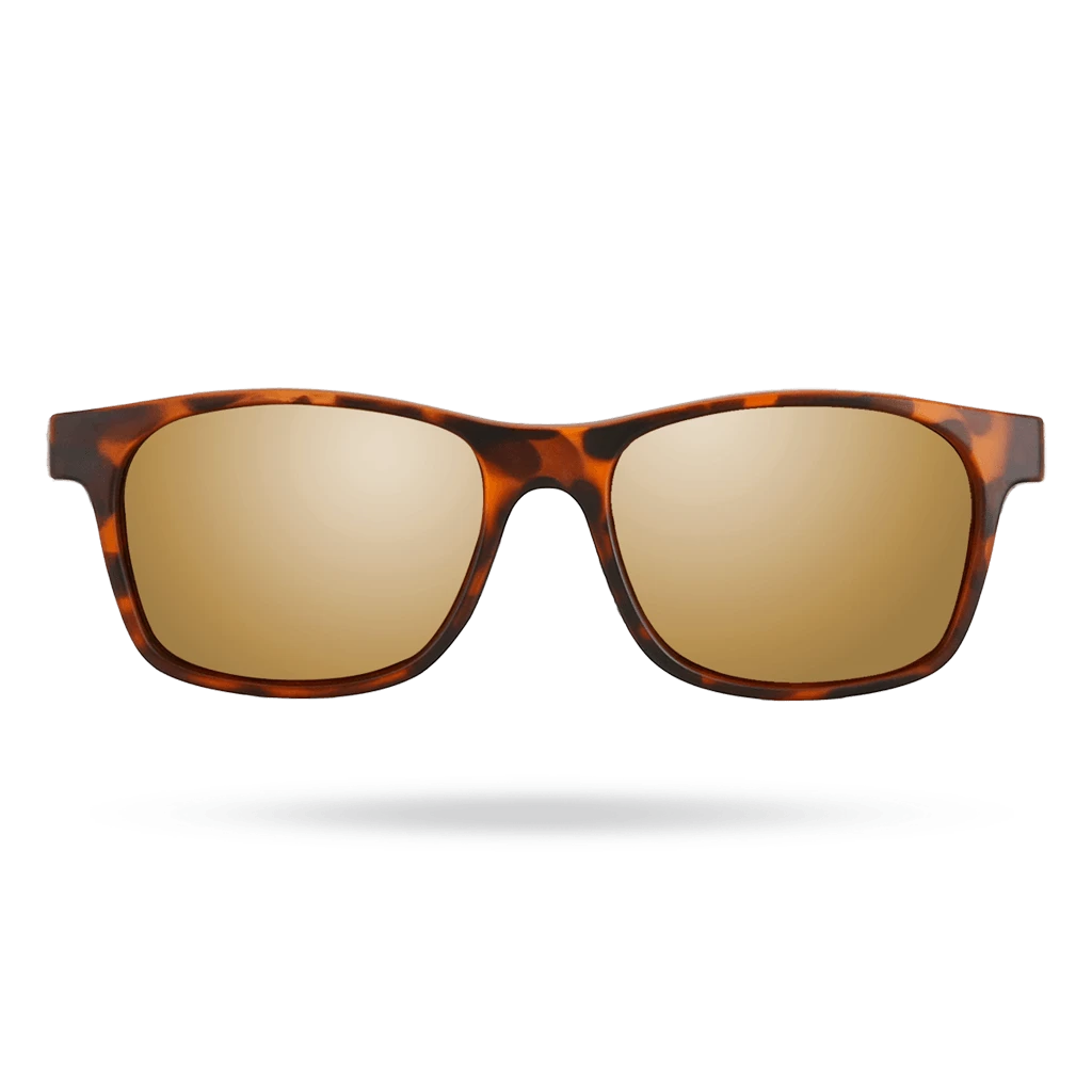 TYR Springdale - Lifestyle Sunglasses Gold Tortoise Shell 5 TYR Springdale - Lifestyle Sunglasses Gold Tortoise Shell - Image 3